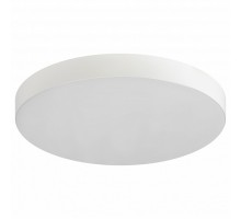 Накладной светильник Эра Relict Relict 38 SPB-6-40 4К WH