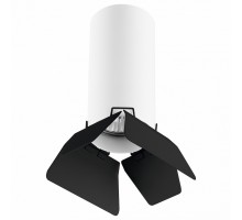Накладной светильник Lightstar Rullo R486437