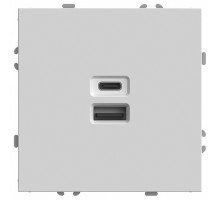 Розетка USB и type C без рамки Stekker RST10-5115-01 49879
