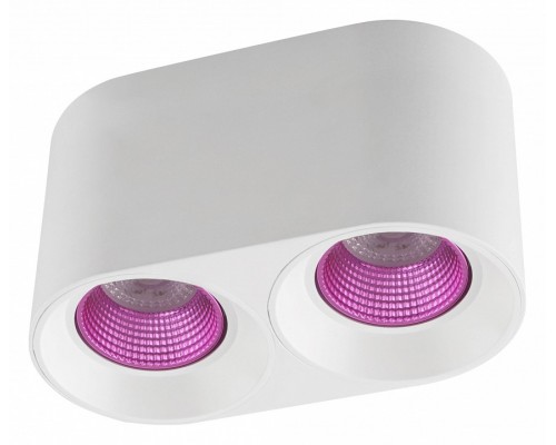 Накладной светильник Denkirs DK3020WPI DK3096-WH+PI Накладной светильник Denkirs DK3020WPI DK3096-WH+PI