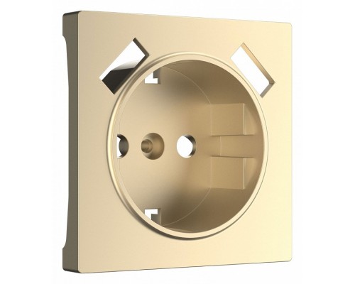 Накладка для розетки с заземлением и 2хUSB Werkel шампань W1179511 (шампань) Накладка для розетки с заземлением и 2хUSB Werkel шампань W1179511 (шампань)