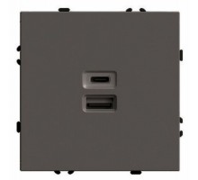 Розетка 2хUSB type A и C без рамки Stekker Эмили 49931