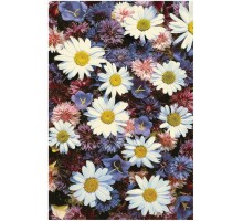 Ковер интерьерный (300x400 см) Hunnu