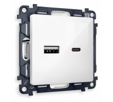 Розетка 2хUSB type A и C без рамки Ambrella Volt Quant MA111010