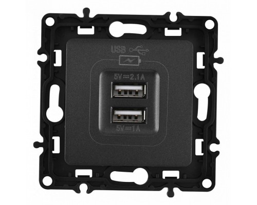Розетка USB, без рамки Arte Milano am-217 217.46-1.black Розетка USB, без рамки Arte Milano am-217 217.46-1.black