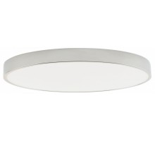 Накладной светильник Zortes Tortty ZRS.02565.96