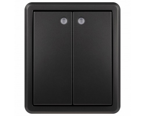 Выключатель двухклавишный с подсветкой Эра Эра Эксперт 11-1205-05