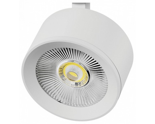 Плафон металлический Lightstar Alta Pro 215546