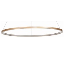 Подвесной светильник ST-Luce ST603 IN 