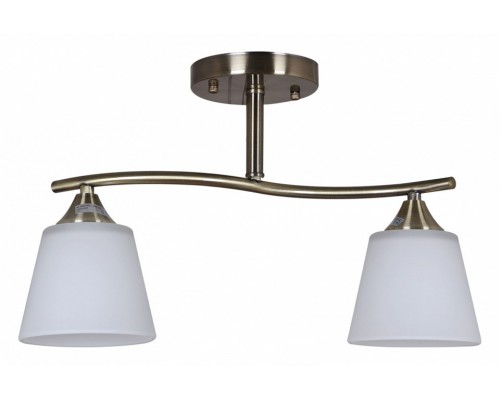 Светильник на штанге 06581-0.3-02 AB