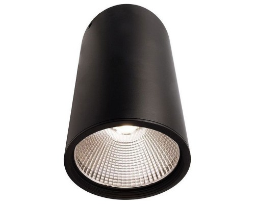 Накладной светильник Deko-Light Luna 348066 Накладной светильник Deko-Light Luna 348066