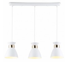 Подвесной светильник Ambrella Light TR TR8466