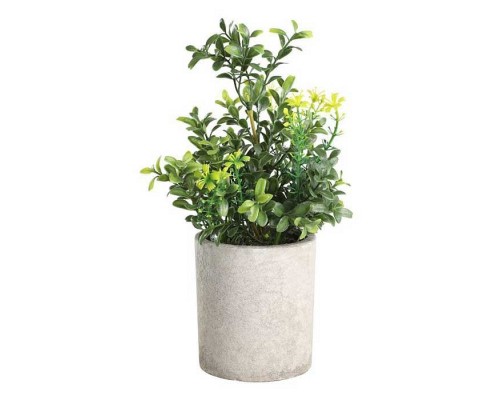 Растение в горшке Eglo Chitose 428025 Растение в горшке Eglo Chitose 428025