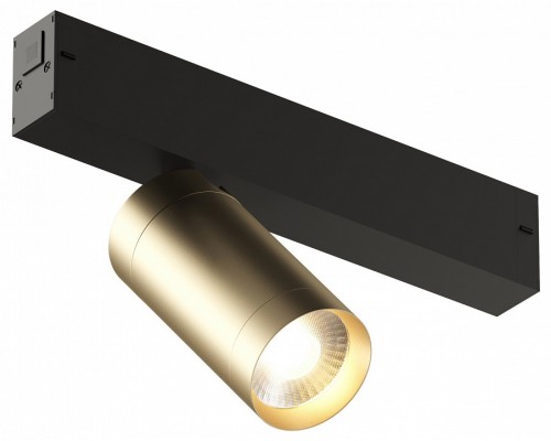 Светильник на штанге Denkirs Smart DK8010-BG Светильник на штанге Denkirs Smart DK8010-BG