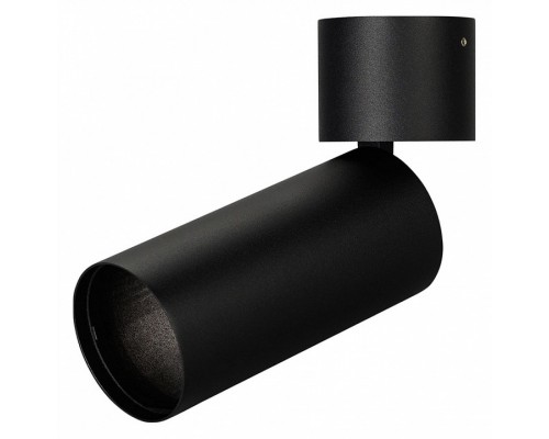 Светильник на штанге Arlight POLO 024383(1) Светильник на штанге Arlight POLO 024383(1)