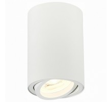 Спот ST-Luce Torus 