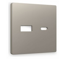 Накладка для розетки type A и C Ambrella Volt Quant AP3710
