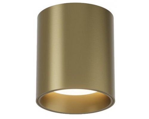 Накладной светильник Denkirs SHINE TUBE DK2610-SB Накладной светильник Denkirs SHINE TUBE DK2610-SB