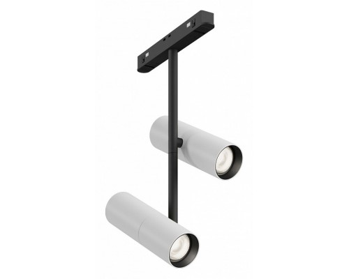 Светильник на штанге Maytoni Technical Elti Duo TR005-4-2X12W-DS-BW