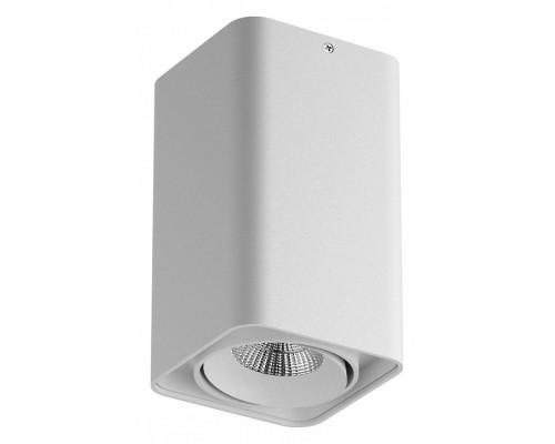 Накладной светильник Lightstar Monocco 052136-IP65 Накладной светильник Lightstar Monocco 052136-IP65