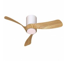 Светильник с вентилятором Mantra NEMO 9054