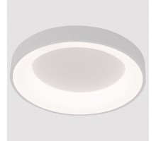 Накладной светильник Arte Lamp None A2695PL-50WH