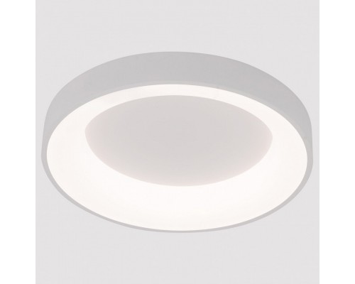 Накладной светильник Arte Lamp None A2695PL-50WH