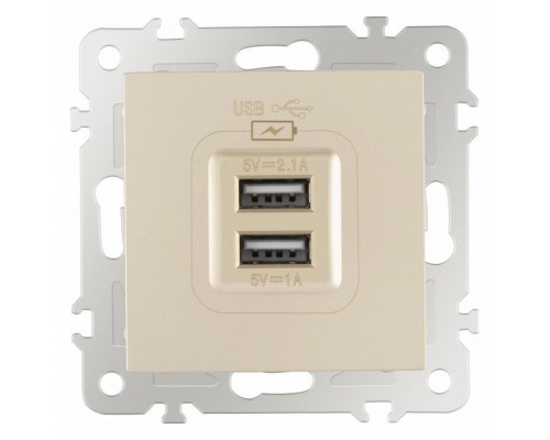 Розетка USB, без рамки Arte Milano am-206 206.46-1.shampan