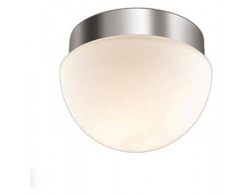 Накладной светильник Odeon Light Minkar 2443/1A Накладной светильник Odeon Light Minkar 2443/1A