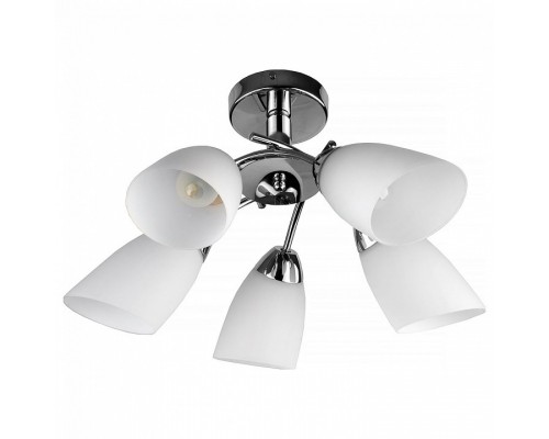 Люстра на штанге TopLight Carmel TL3600X-05CH Люстра на штанге TopLight Carmel TL3600X-05CH