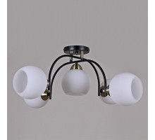 Потолочная люстра ILLUMICO  IL0250-5CSQ-79 BK AB