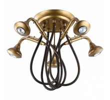Потолочная люстра Lussole TOPGRADE Merrick 