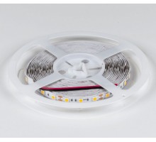 Лента светодиодная DesignLed DSG560 00-00000516