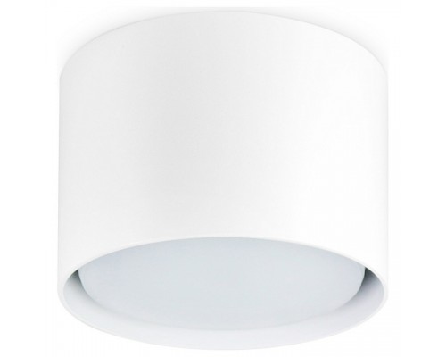 Накладной светильник Ambrella Light TN TN5301 Накладной светильник Ambrella Light TN TN5301