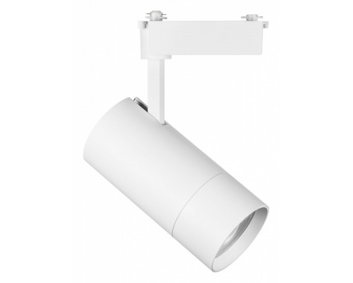 Светильник на штанге Lightstar Volta 229436 Светильник на штанге Lightstar Volta 229436