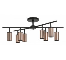 Люстра на штанге Lightstar Rullo LR728308