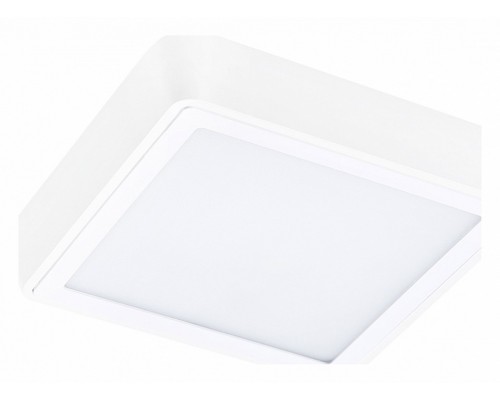 Накладной светильник Lightstar Urbano 216804 Накладной светильник Lightstar Urbano 216804