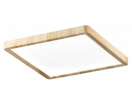 Накладной светильник Citilux Бейсик 