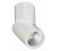 Светильник на штанге ST-Luce ST650 