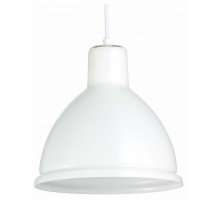 Подвесной светильник EVOLUCE Bacchi SLE114703-01