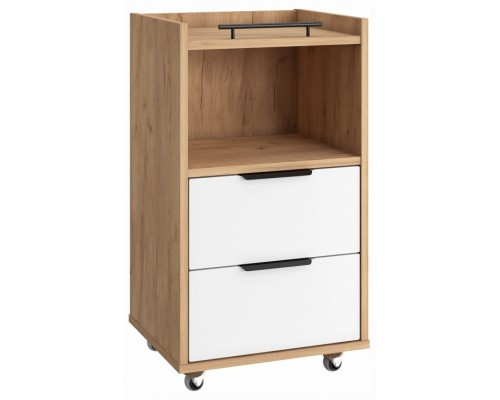 Тумба комбинированная Эконом-стандарт К-30