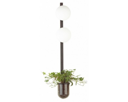 Бра Odeon Light Flower 4681/2WA Бра Odeon Light Flower 4681/2WA