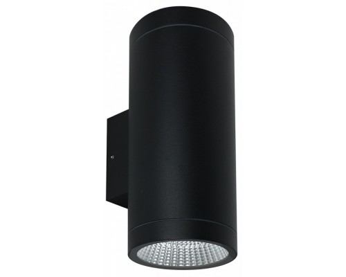 Накладной светильник Arte Lamp TORCULAR A1313AL-2BK