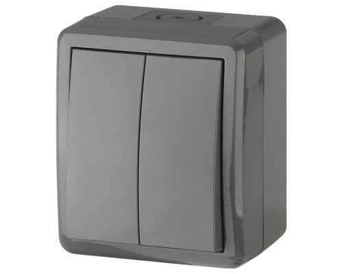 Выключатель двухклавишный Эра Эра Эксперт 11-1404-03