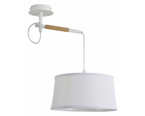 Светильник на штанге F-promo Eureka 3005-1P Светильник на штанге F-promo Eureka 3005-1P