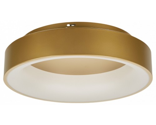 Накладной светильник MyFar Shannon MR2195-1PL Накладной светильник MyFar Shannon MR2195-1PL