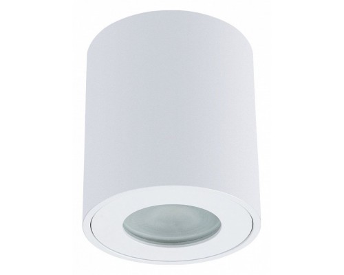 Накладной светильник Arte Lamp Tino A1469PL-1WH