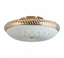 Светильник на штанге TopLight Loreen TL1492Y-05GC