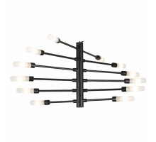 Подвесная люстра Lightstar Ragno 733127