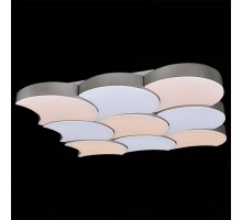 Накладной светильник  01218-0.3-09LED